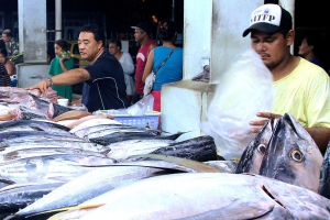 Fighting illegal fishing in Tonga